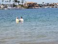 IMG 7964 IMG 7964