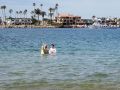 IMG 7965 IMG 7965