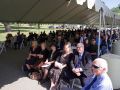 IMG8550 IMG8550