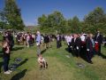 IMG8591 IMG8591