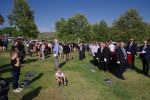  IMG8591