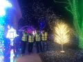 christmas lights christmas lights