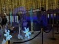 christmas lights christmas lights