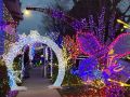 christmas lights christmas lights