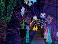 christmas lights christmas lights