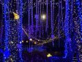 christmas lights christmas lights