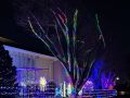 christmas lights christmas lights