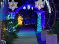 christmas lights christmas lights