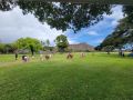 honoluluslavicchurch familyday  