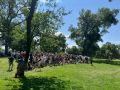 gfcpicnic  