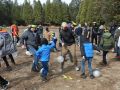 brytecamp brytecamp