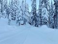 sierrapines sierrapines