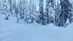 sierrapines  