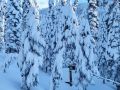 sierrapines sierrapines