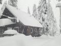 sierrapines sierrapines